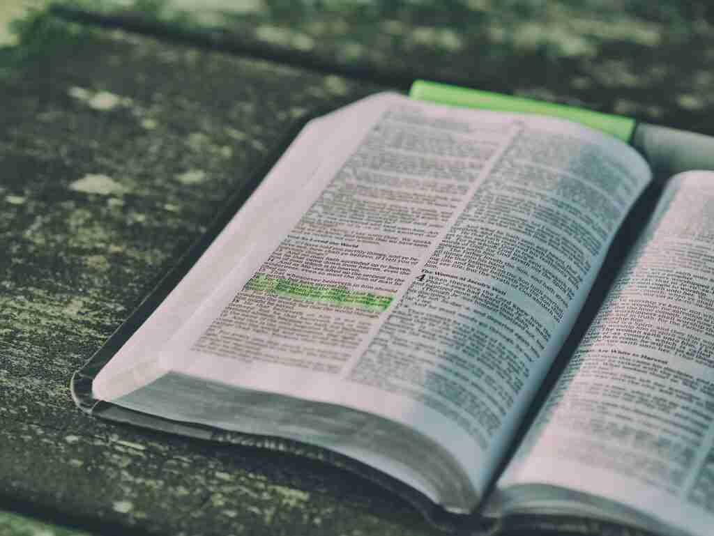 illum e -English, Humanities and GP tuition